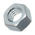 Hex Nut
